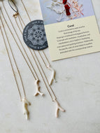 White Coral Pendant | petite